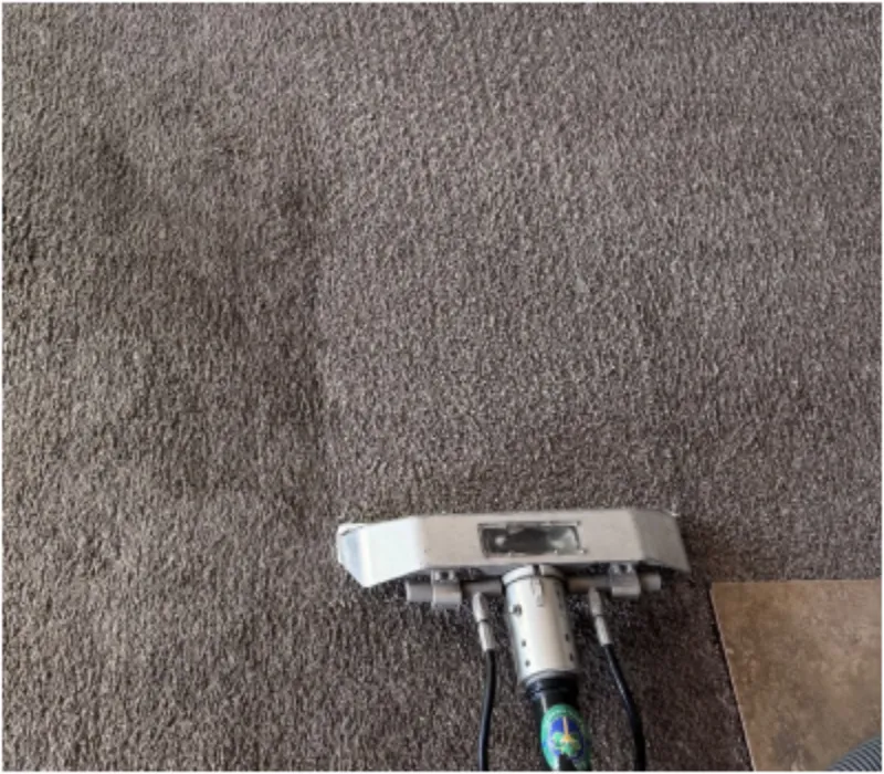 Technician steam cleaning a gray carpet with a professional extraction wand