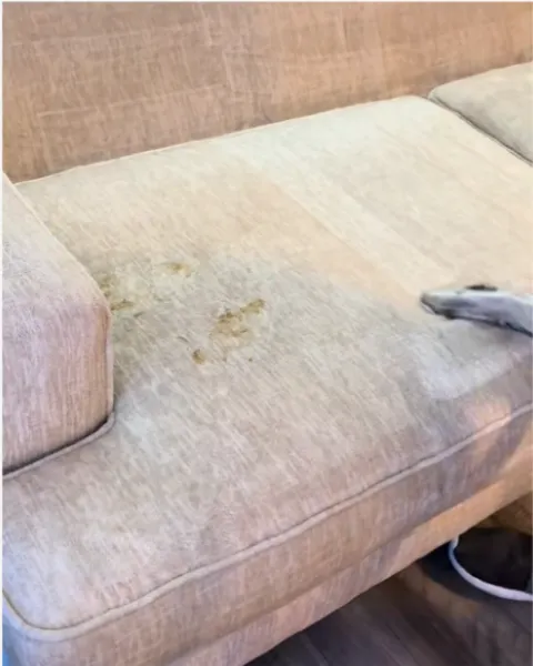 Beige sofa cushion half cleaned, stains removed with hot water extraction