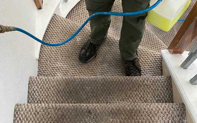 1 Cleaning Company El Paso, TX Clover Carpet Cleaning