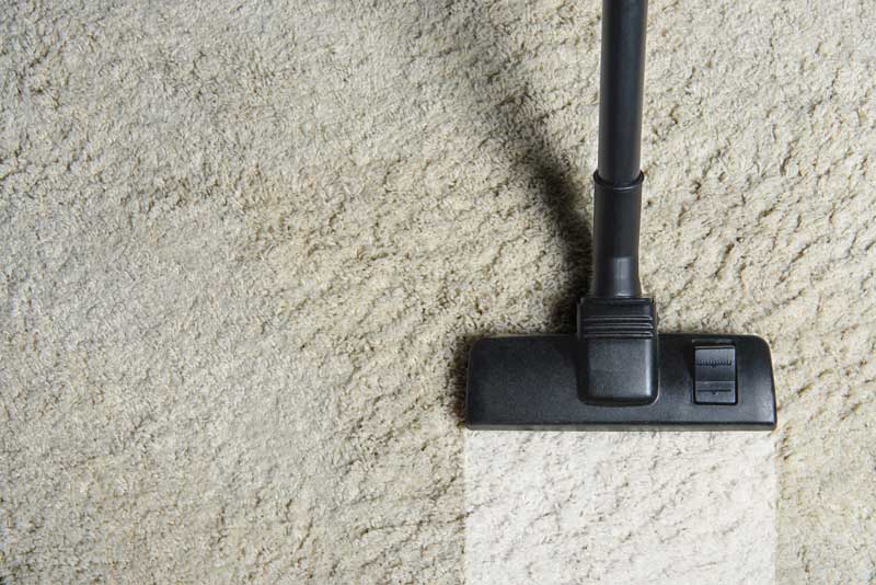 1 Cleaning Company in El Paso, TX Clover Carpet Cleaning
